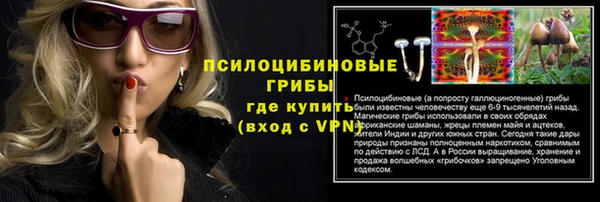 спиды Бронницы