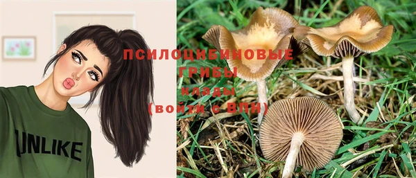 спиды Бронницы