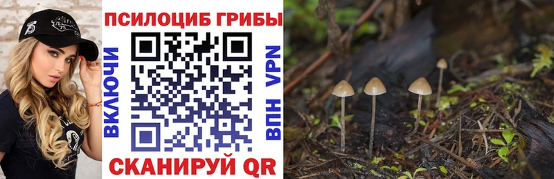 Галлюциногенные грибы ЛСД  мориарти как зайти  Сорочинск  закладки 